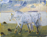 Print - Connemara Ponies Unframed